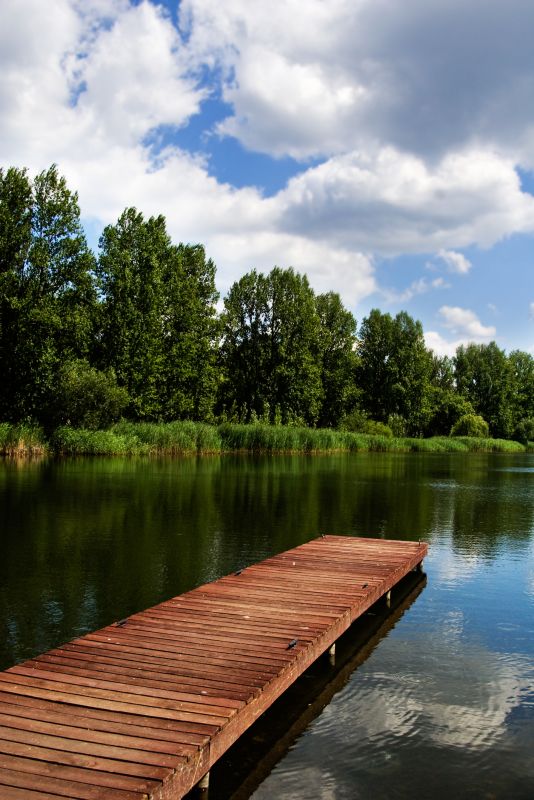 Pond Dock Construction in Overland Park, KS